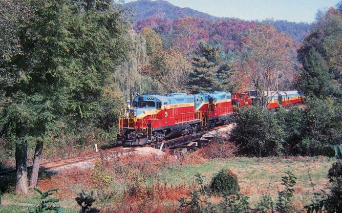 Great smoky mountains railroad