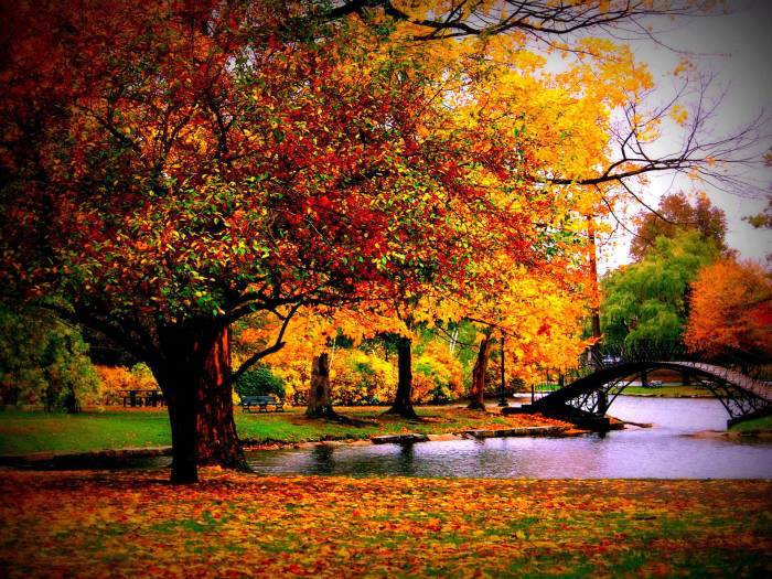 Budapest Autumn Feasting, Festivals, & Outdoors