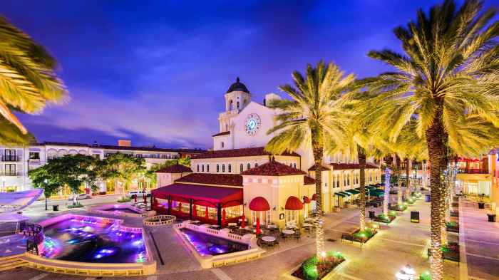 Guide to palm beach