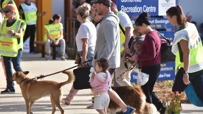 Empty esky campaign bushfire australia
