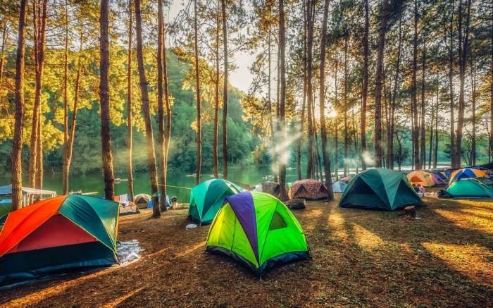 Camping in europe with dogs