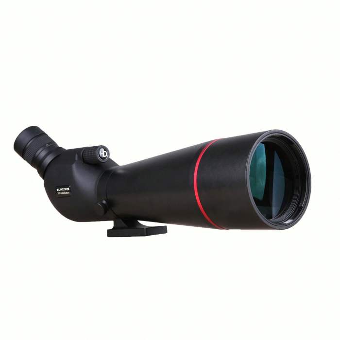 How to be a better spotter the golden rules of watching wildlife