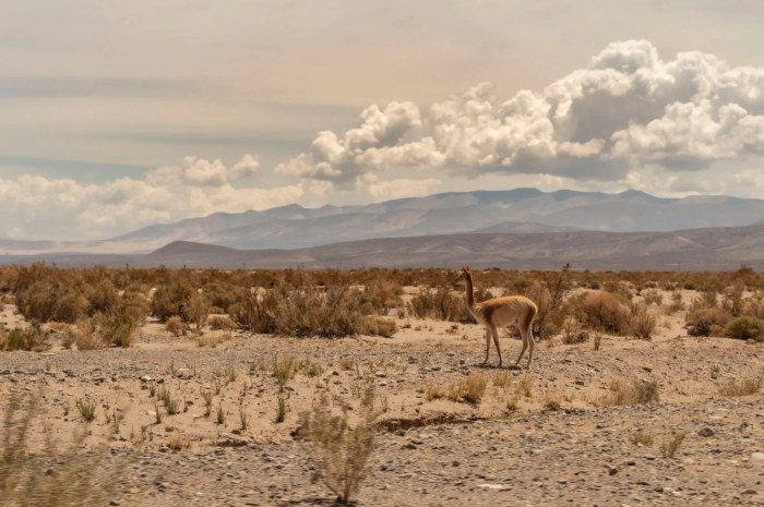 Where locals go under the radar destinations argentina
