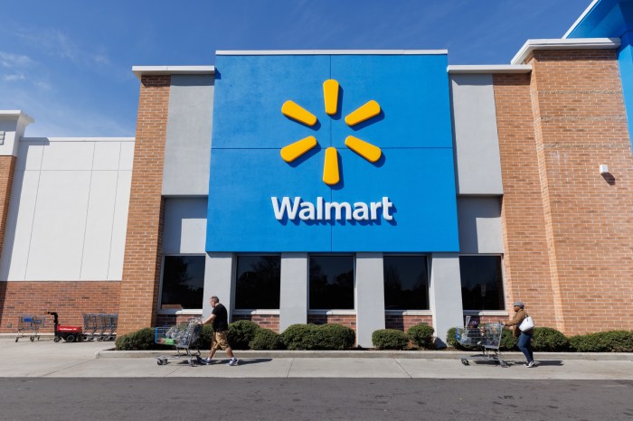 Walmart travel basics under 20