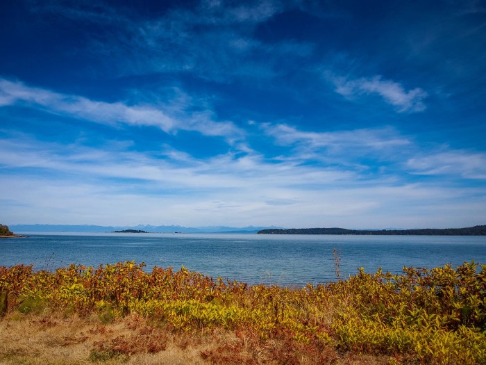 Guide to vancouver island