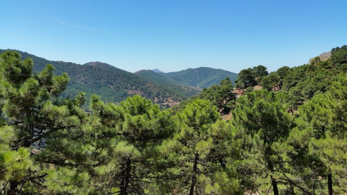 Andalucia top parks nature lovers