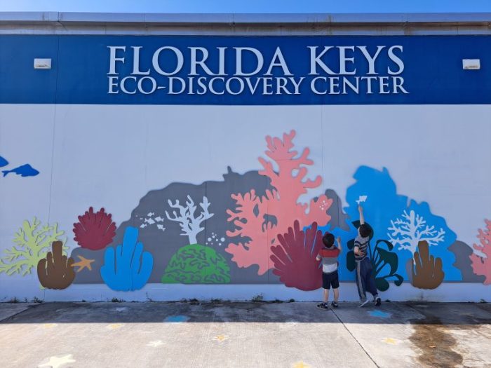Visiting florida keys covid 19
