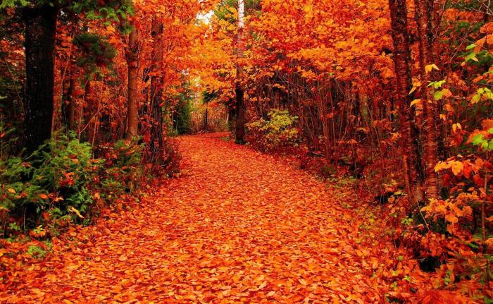 Trip ideas fall vacations witty fall instagram