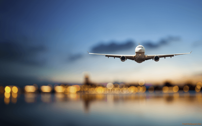 Flight attendant approved travel essentials friend expert picks