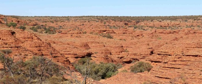 Immersive art experiences uluru kings canyon alice springs australia