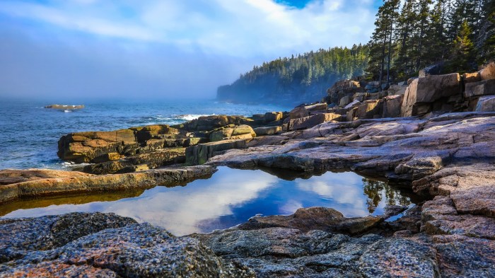 Acadia national park road trip