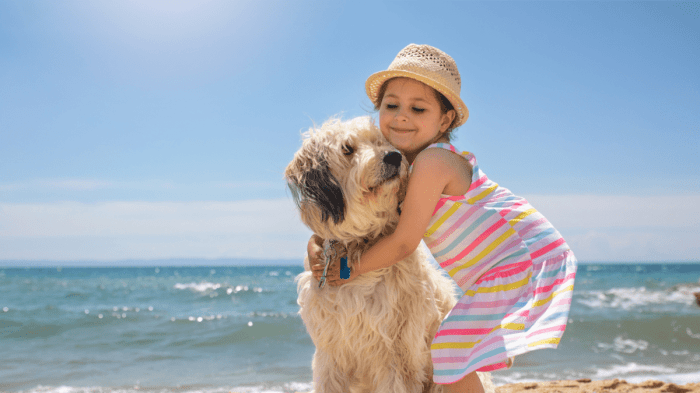 Traveling with dog britain
