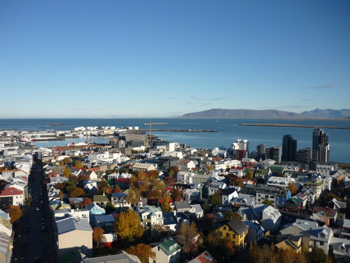 Icelanders Hug Trees, Curb COVID-19 Isolation