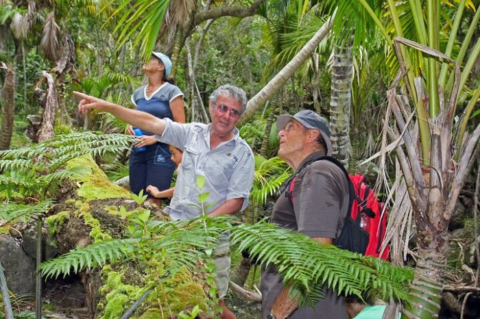 Explore the sustainable paradise of lord howe island