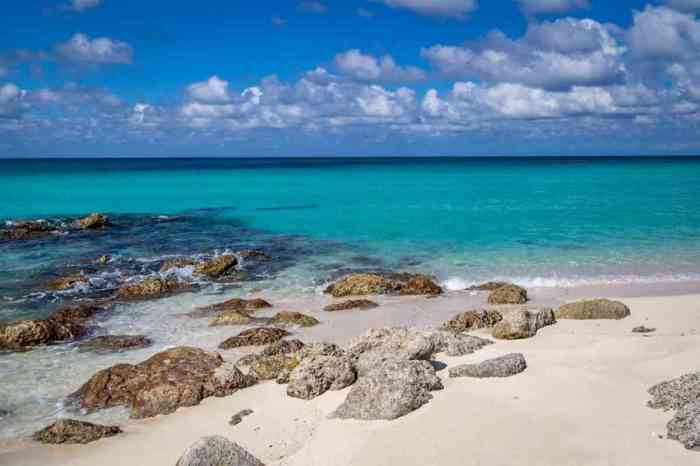 Bimini bahamas travel guide