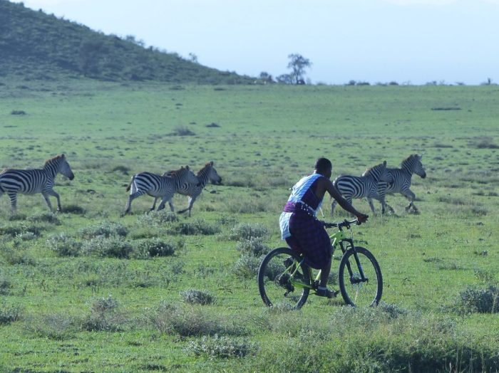 Cycling safari botswana tanzania wagora bike ride singita explore