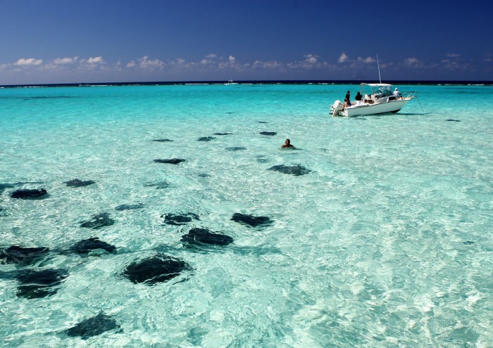 Cayman airways sale miami new york tampa flights