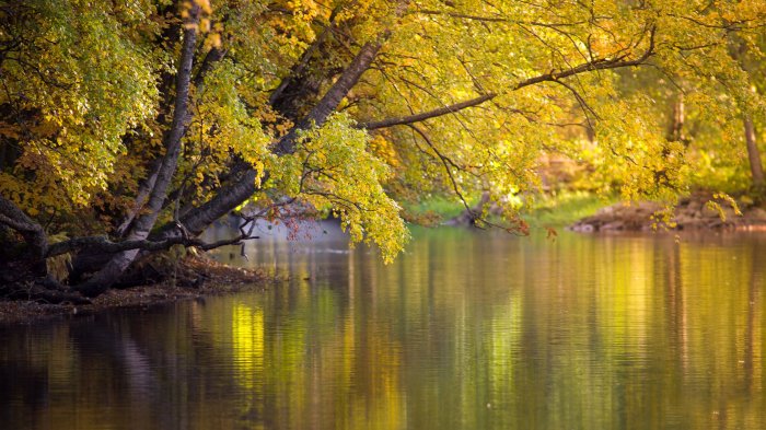 Free things to do us national parks