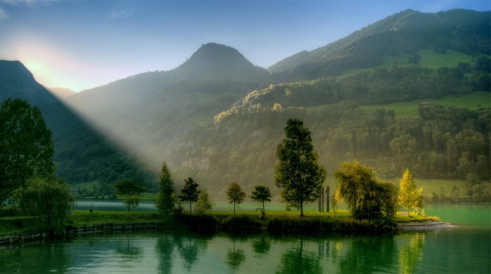 Trip ideas nature travel most beautiful forests in the