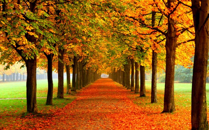 Trip ideas fall vacations witty fall instagram