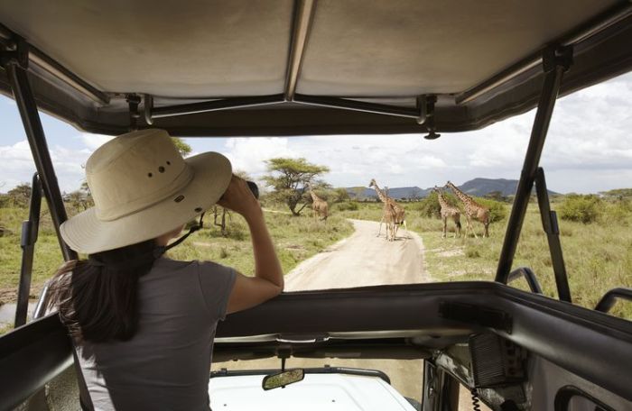 Plan Your Trip to Africa in 10 Easy Steps Plan Your Trip to Africa in 10 Easy Steps