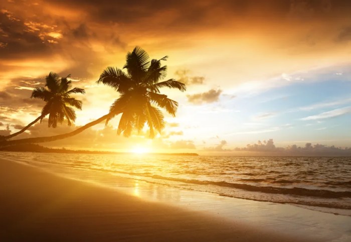 Cheapest time to fly to hawaii