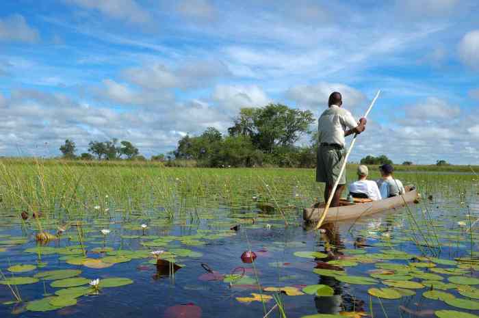 Wilderness camps botswana safari