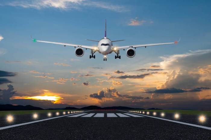 Flights to nowhere covid