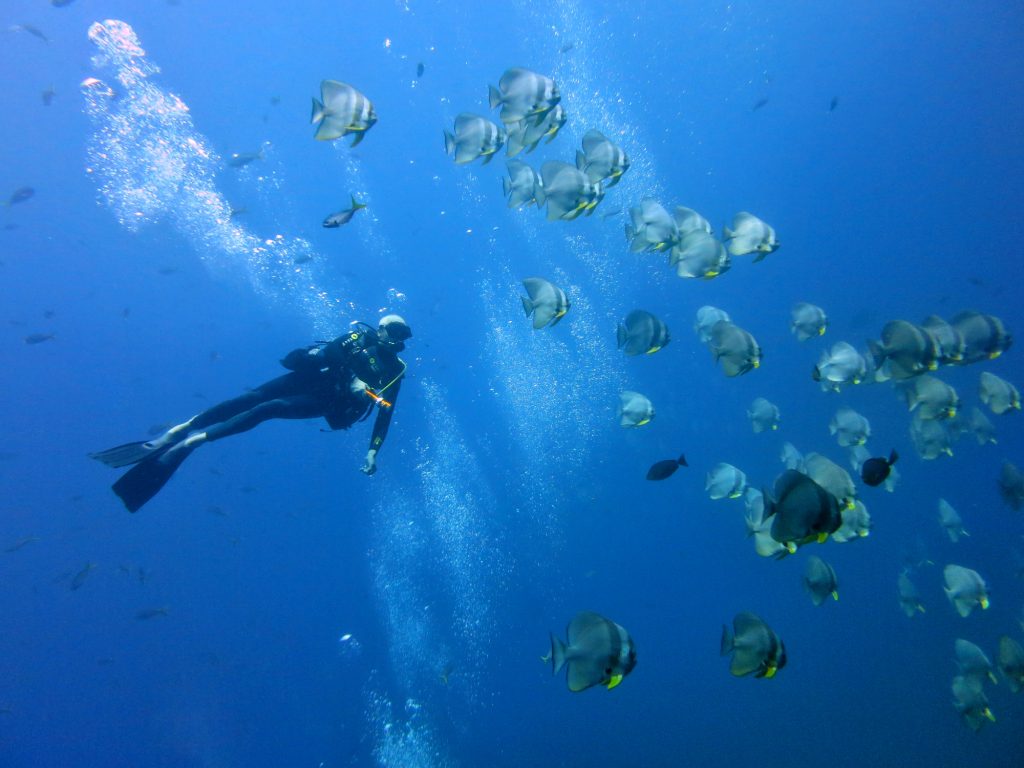 How to take amazing underwater photos