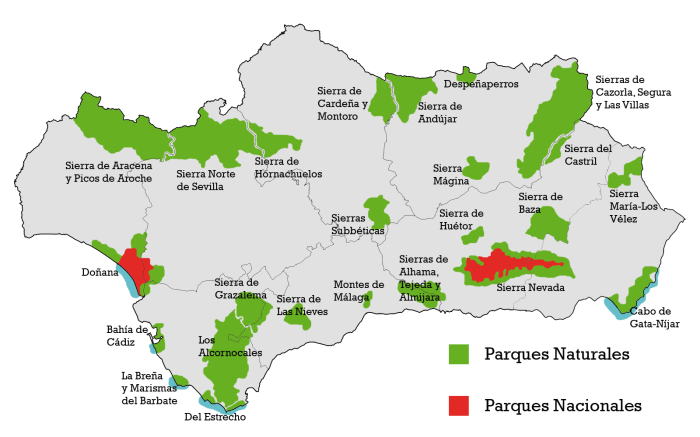 Andalucia Top Parks Nature Lovers Guide