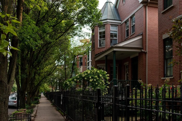 Guide to Lincoln Park Old Town Chicago