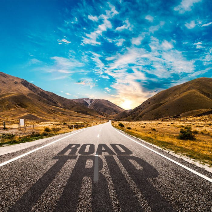 Trip Ideas Bus, Train, Amtrak, Moynihan