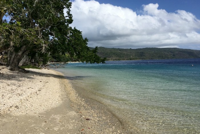 Vanuatu adventure guide tanna