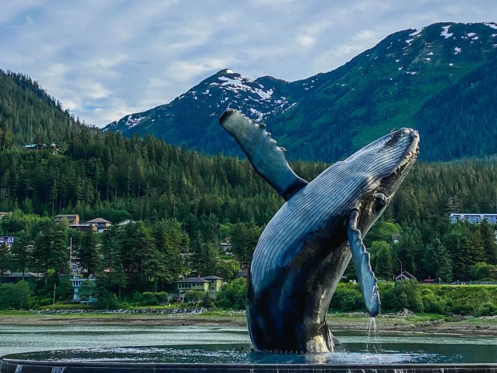 Which alaska cruise is right