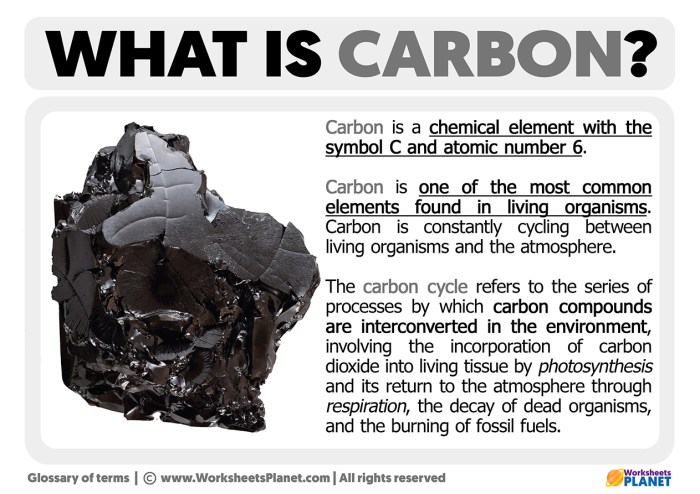 Carbon Conscious Travelers Trains A Guide
