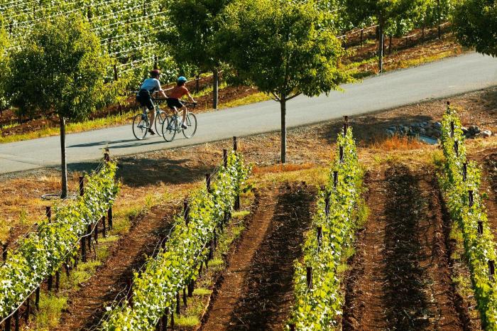 Cycling Mission Villages Winelands A Journey