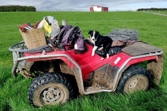 How to wwoof around new zealand
