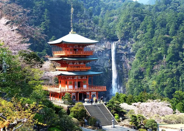 Japan kids food tour