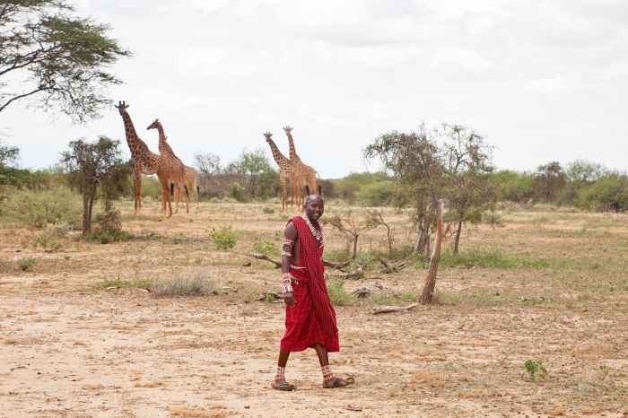 Maasai Land Dubai Royals Hunting Ground?