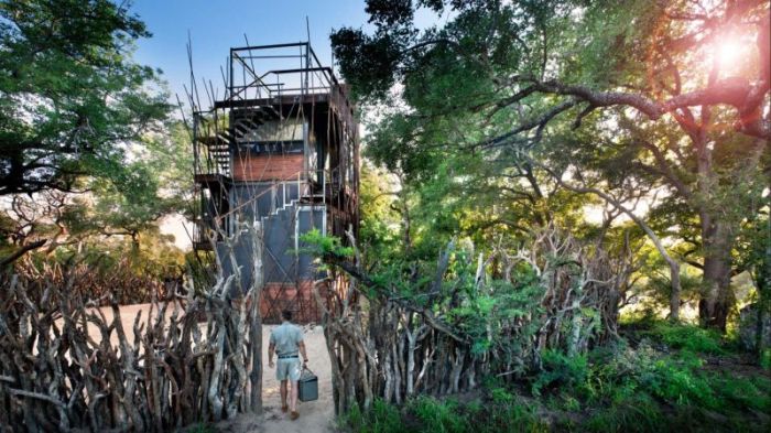 Ngala treehouse south africa