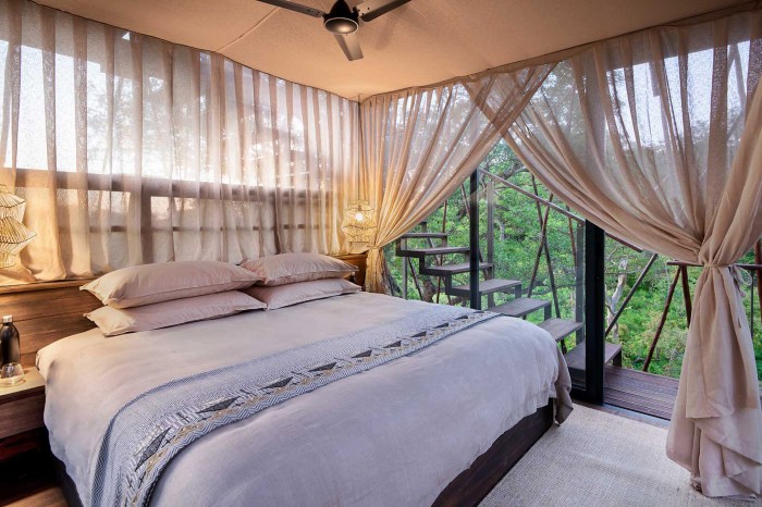 Ngala treehouse south africa