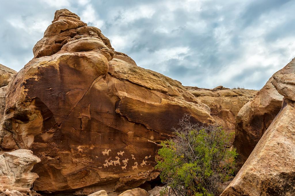 Petroglyph protection us national parks