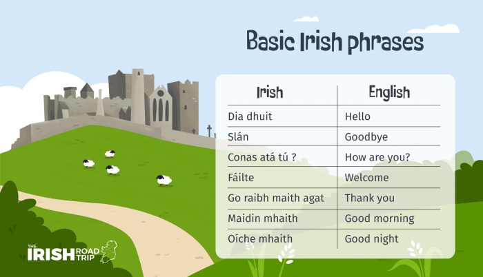 Travel kitchen series irish stew