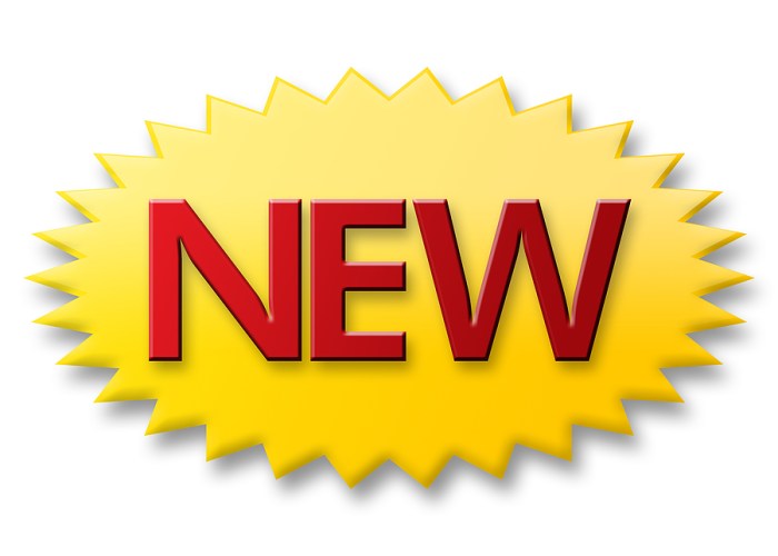 New camper vans trailers