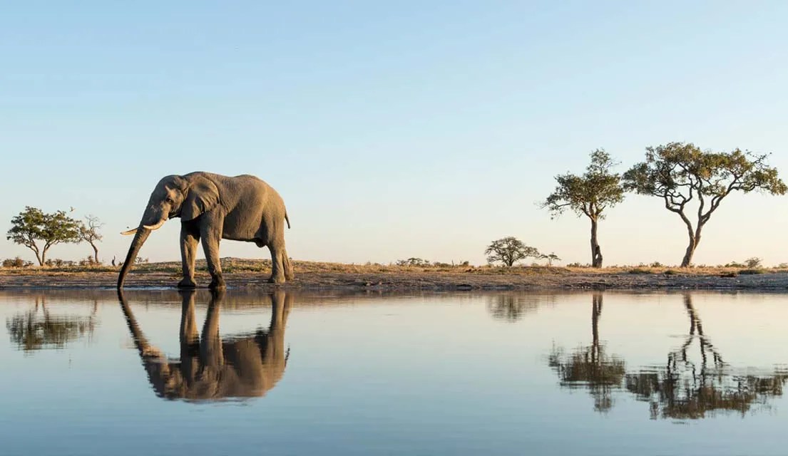 Botswana Wilderness Camps Safari Adventure