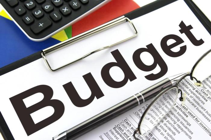 Free Printable Budget Worksheet | Free Organizing Printables Cairo on a budget