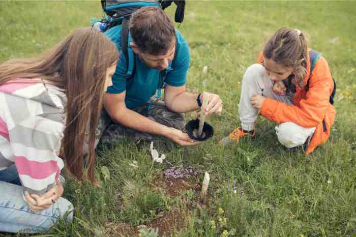 Where to take your kids to see wildlife