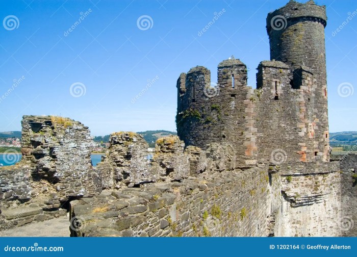 Guide to conwy castle