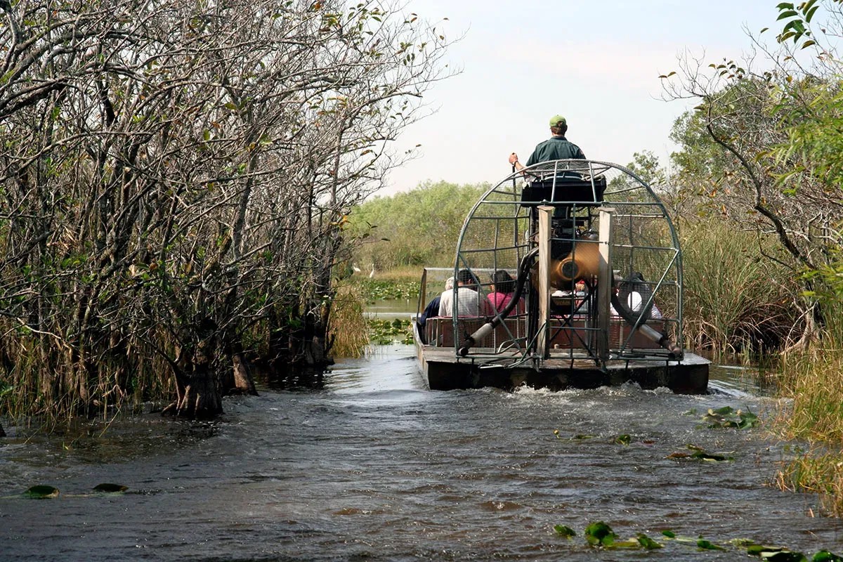 Top Things to Do in Everglades National Park