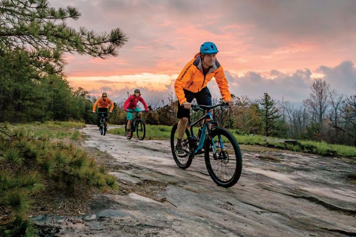 Brevard north carolina travel guide
